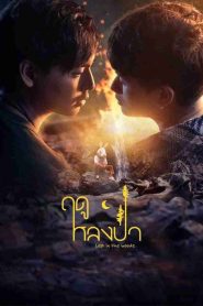 Lost in the Woods: 1 Episodio 3