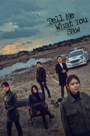 Tell Me What You Saw: Temporada 1 Online
