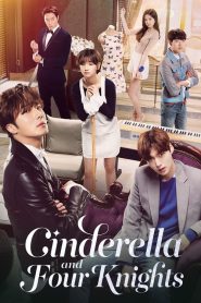 Cinderella And Four Knights (Cinderela e os Quatro Cavaleiros): Temporada 1 Online
