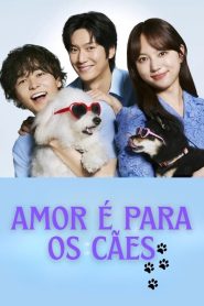 Love Is For The Dogs: 1 Episodio 1