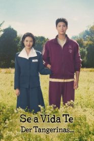 When Life Gives You Tangerines: 1 Episodio 2
