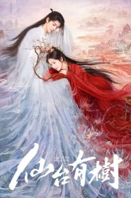 Amor da Árvore Divina: 1 Episodio 2