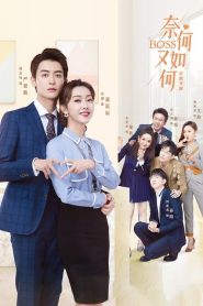 Amor Bem Dominado: 1 Episodio 13