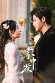 Sadistic Love (Amor Sádico): Temporada 1 Online