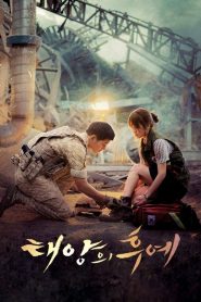 Descendants Of The Sun (Descendentes do Sol): Temporada 1 Online