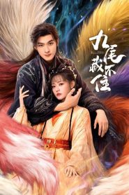 Eternal Love of the Fox: Temporada 1 Online